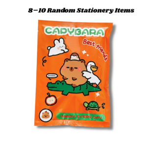 kawaii stationery blind box